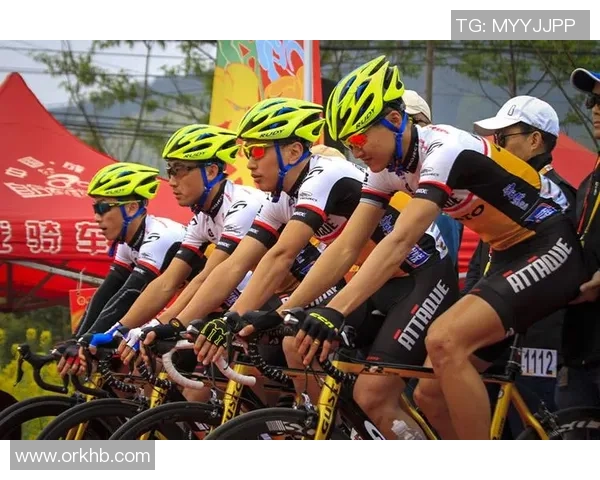 精英赛分析：JDG团队协作的默契与战术执行力探讨