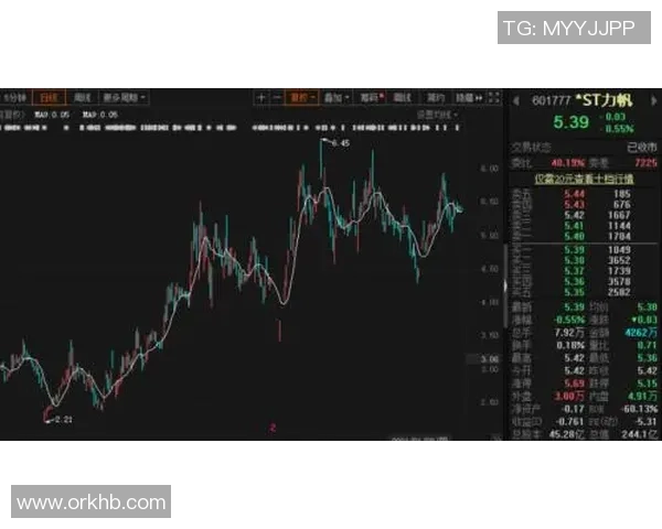 重庆飞盘队配合表现分析与战术探讨：数据背后的团队协作之道